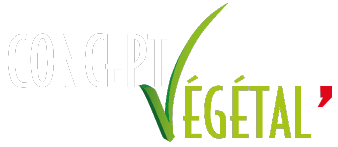 Mur végétal sur mesure & plante stabilisée ou artificielle